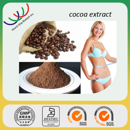 Cocoa extract,Pure Natural black cocoa powder from cocoa bean,10% therobromine&40% polyphenols cocoa extract                        
                                                Quality Choice