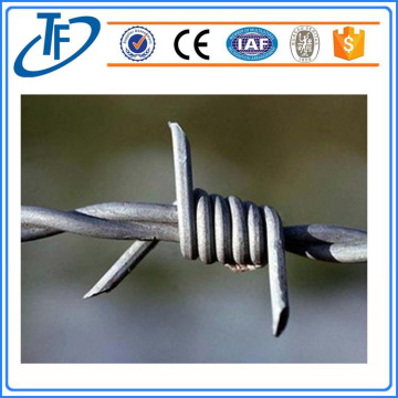 Hot-dip galvanized barbed wire price per roll