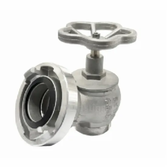 Glosok DN25 Stainless Steel Fire Hydrant Valve Assembly
