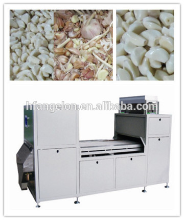 India garlic color sorting machine