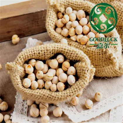 Wholesale China chickpeas of good quality (2013 crop)