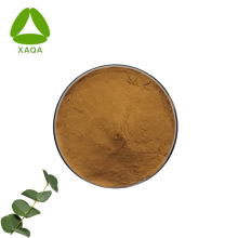 Quality Eucalyptus Globulus Leaf Extract Powder