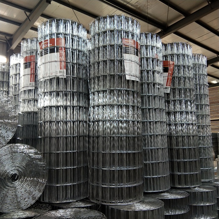 Hot dipped Galvanized welded wire mesh Brazil market