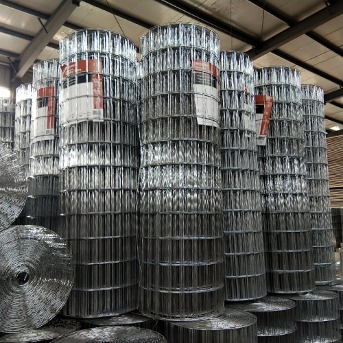 Hot dipped Galvanized welded wire mesh Brazil market