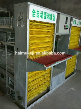 Qingdao Gabbia a strato di pollo automatico