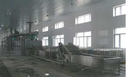 Chickpeas Drying Machine/Champignon Dryer