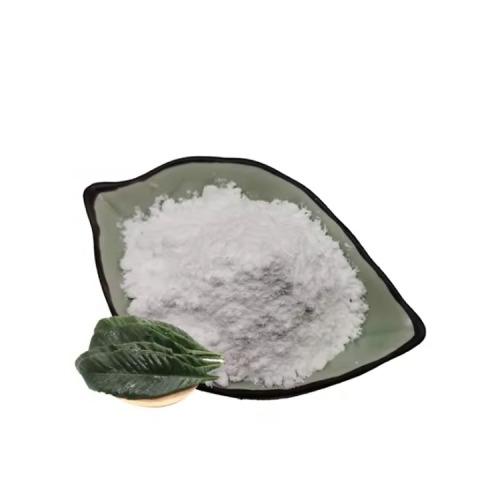 Ursolic Acid Powder Natural Plant Extracts CAS 77-52-1