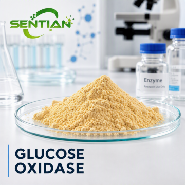 Enzyme Glucose Oxidase để bảo quản thực phẩm và nướng bánh