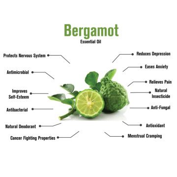 Óleo de bergamot a granel por atacado 100% de óleo de bergamot orgânico de grau de alimento natural puro