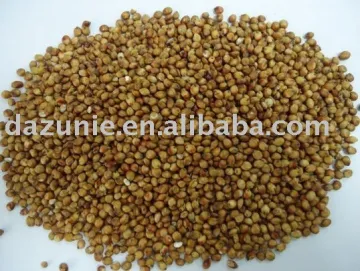 Chinese Sorghum