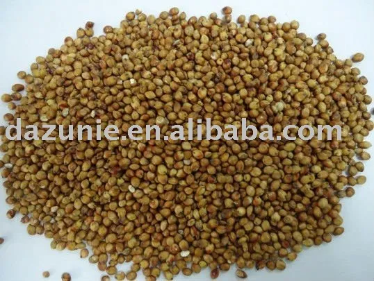 Chinese Sorghum