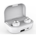 Bluetooth 5.0 Earphones in-Ear with Charging Case