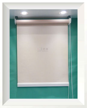 Daylight Roller Blinds Design
