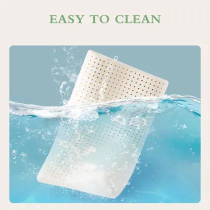 Thailand Foam 100% Natural Latex Pillow