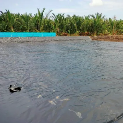 Layfield Geomembrane Visqueen High Performance Pond Liner for Reservoir Projects in South Africa