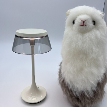 Lampada da tavolo in ottone ricaricabile ricaricabile ricaricabile ricaricabile in ottone rimovibile