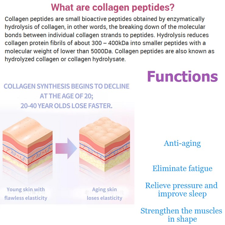 OEM/ODM Collagen Oral Liquid Hyaluronic Acid Nicotinamide Collagen Peptide Collagen Oral Liquid