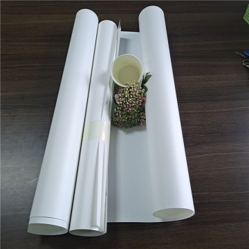 PVC building materials composite printing film