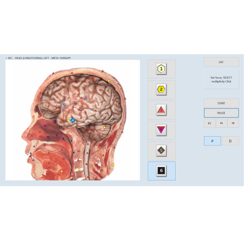 تجهیزات تجزیه و تحلیل غیر خطی اسکنر سلامت بدن Physiospect