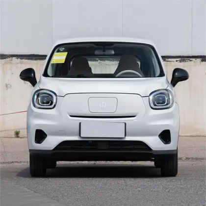 2024 Leap Motor T03 200 Light Version Electric Car