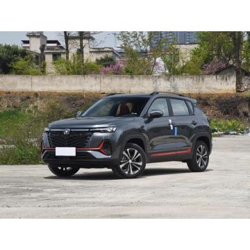 2023 Chinese New Brand CHANA EV 5 Doors 5 Seats Car with MacPherson Independent Suspension