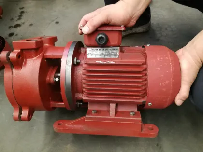 2BV2060 Single Stage ELMO Liquid Water Ring Vacuum Pump with Water Separation Tank