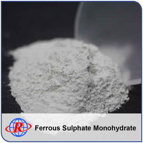Hot Sale Ferrous Sulfate Fertilizer Monohydrate China Supplier