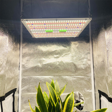150W KingBrite Board Samsung LM301H EVO 660nm UV/IR Separate Switches LED Grow Light