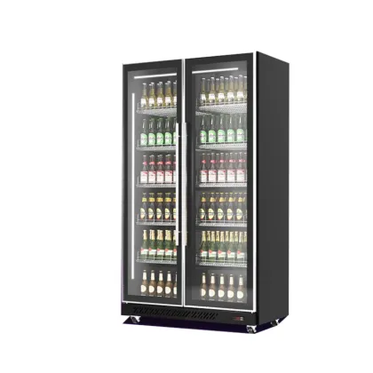 Double Door Bar Chiller Refrigerator: Sub Zero Beer Fridge & Commercial Freezer Showcase
