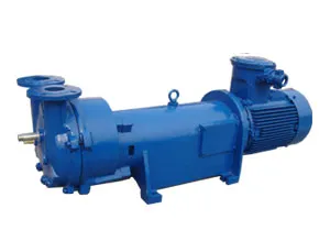 Electric Space-Saving 2BV 5110 Water Ring Vacuum Pump