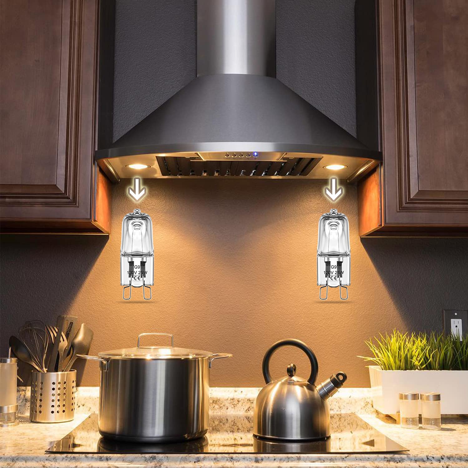 G9 Halogen light bulb (3)