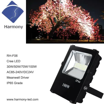 Well Heat Dissipation IP66 Outdoor 30W LED Flood Light