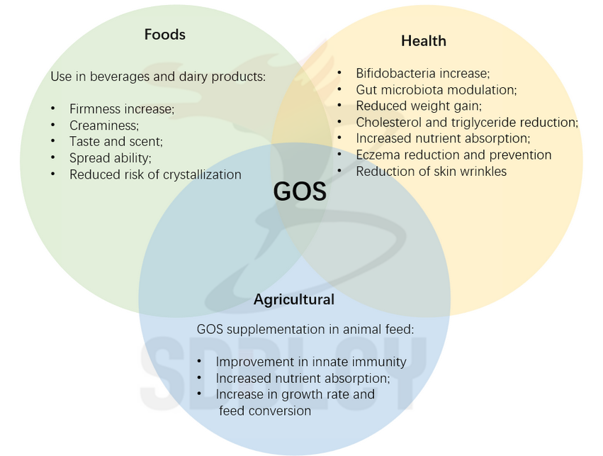 Galactooligosaccharides GOS 90% de poudre dans le lait de vache