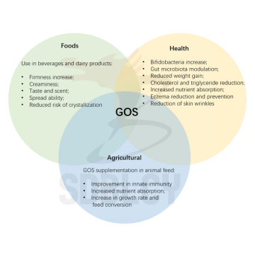 Galactooligosaccharides gos 90% serbuk dalam susu lembu