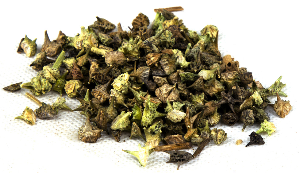 Tribulus terrestris extract.