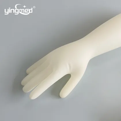 Latex Examination Gloves Gynecological Gloves