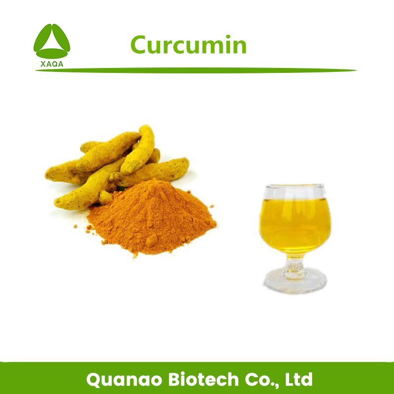 Nano Turmeric Extract Curcumin 20% Powder Water Soluble