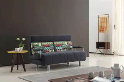 Youthful Vigor Style Multifunctional Sofa