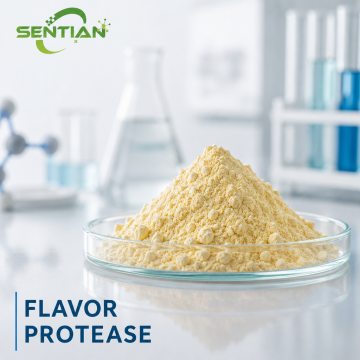 Flavor Protease Enzyme for Umami & Flavor Enhancement