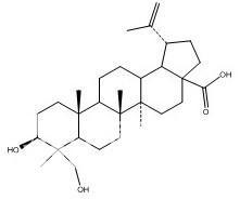 safflower extract2