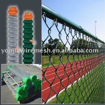 chain link fence(pvc coated)