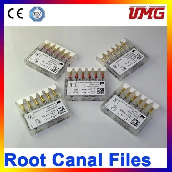 China Dental Supply Root Canal Treatment Endo Motor Endodontic