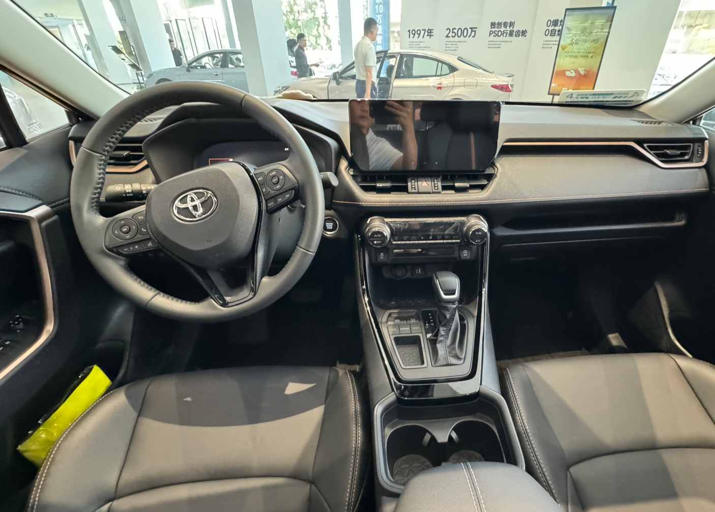 Compact and robust body proportions