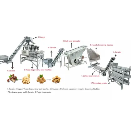Professional Automatic Pecan Nuts Hulling and Shelling Machine