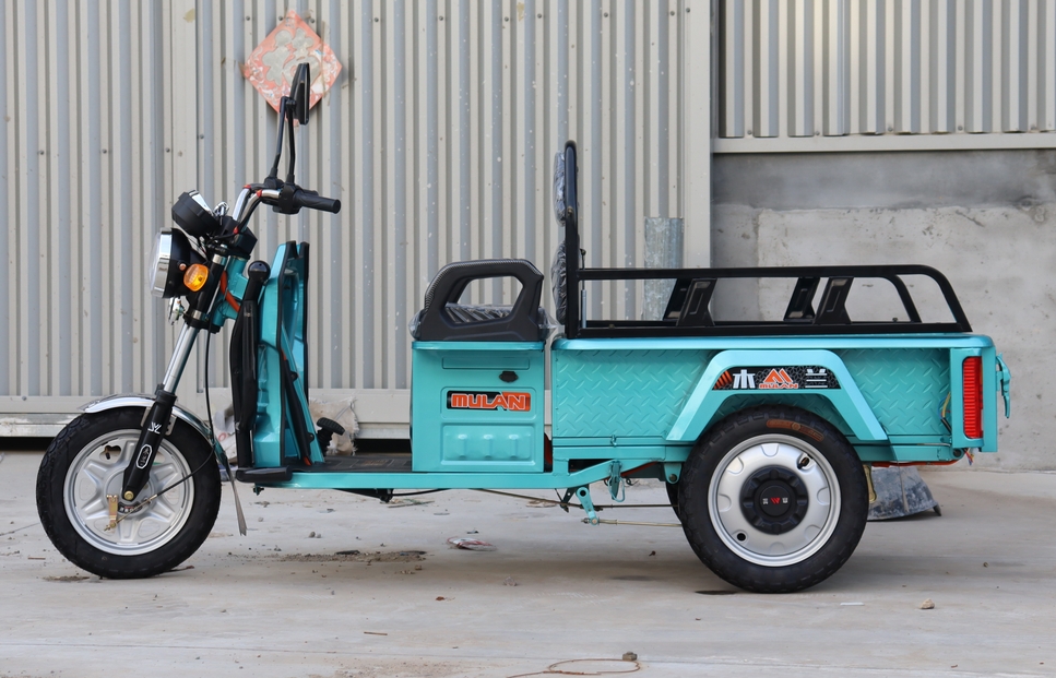 Manned Electric Tricycle