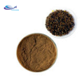 supply product Semen Cassiae plant extract powder