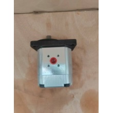 SNM21N/017RN02DB gear motor with directional valve