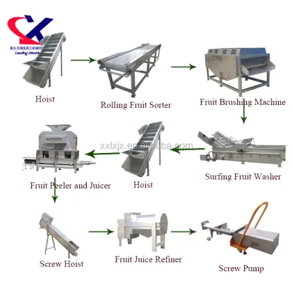 2-3t/h Fresh Pineapple Juice Extractor Machine - Fresh Pineapple Juice Processing Equipment