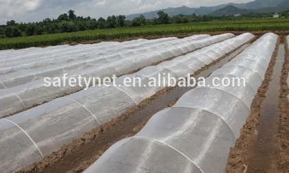 insectproof net anti insect net insect protective net