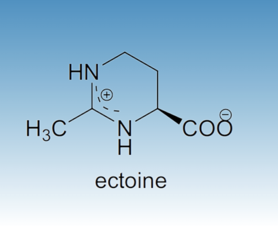 High Purity Ectoine Powder